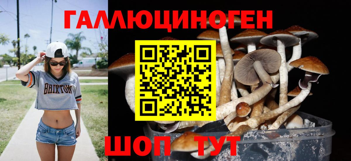 Псилоцибиновые грибы мухоморы  Вход с VPN  Бийск  Псилоцибиновые грибы GOLDEN TEACHER 